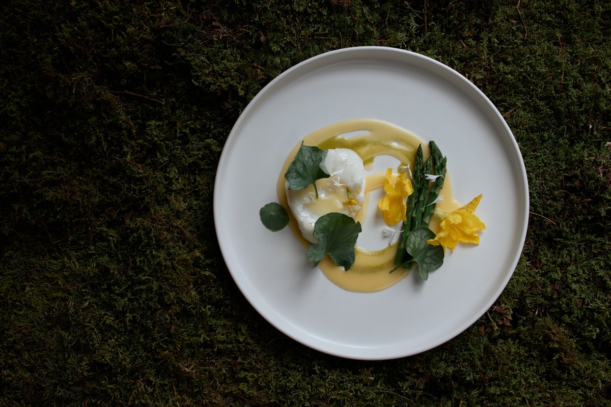A meticulously plated dish features a delicate poached egg, vibrant green asparagus spears, and bright yellow edible flo