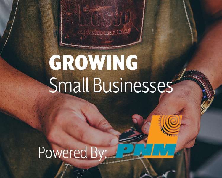 Growing Small Businesses Powered by PNM