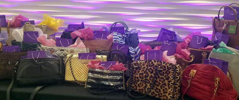 DVRC Power of the Purse Fundraiser- Purses with a Purpose