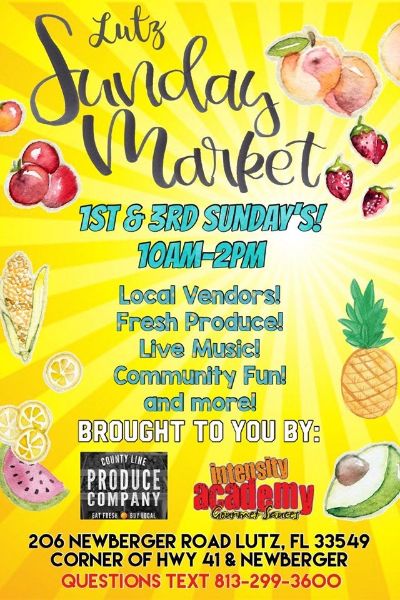 Gourmet Churros at Lutz Sunday Farmers Market