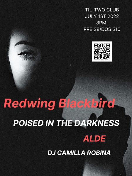 Redwing Blackbird / Poised in the Darkness / ALDE
