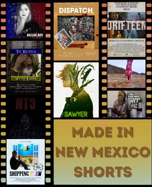 Made in NM Shorts Program