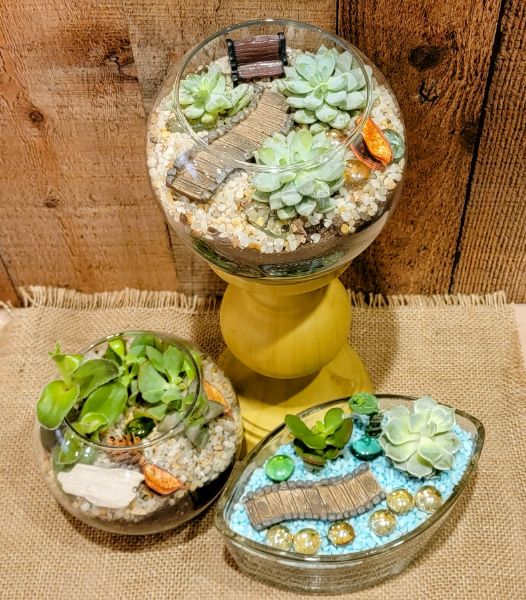 Sip & Succulent-Tranquil Terrariums