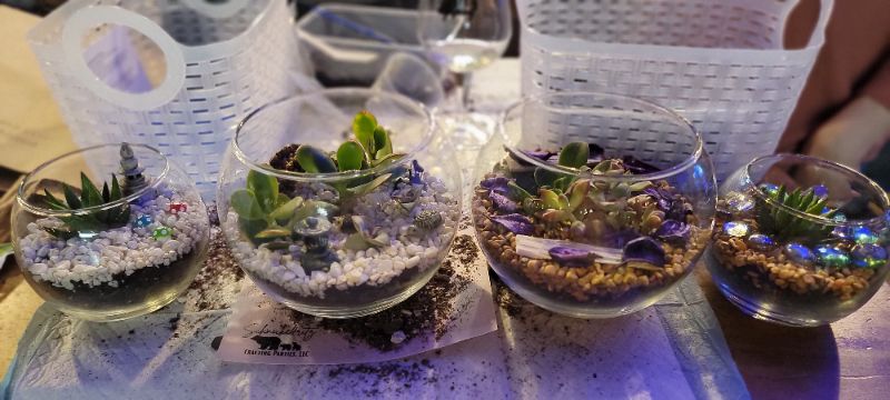 Tranquil Terrariums