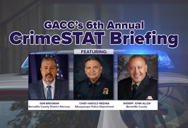 6th Annual CrimeSTAT Briefing