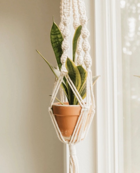 Make Your Own Macrame Plant Hanger at River Plant Co.