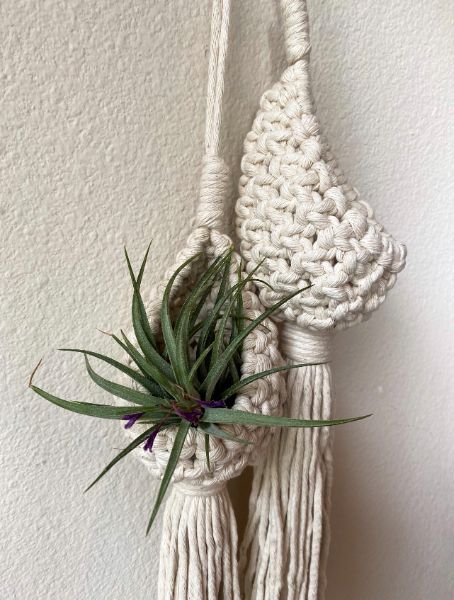 Macrame Plant Pod