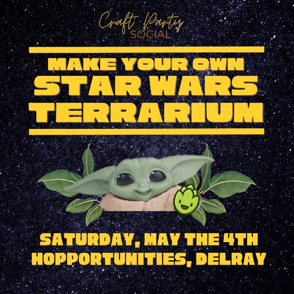 May the 4th Crafternoon - Star Wars Terrariums at Hopportunities