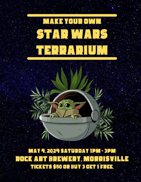 Make Your Own Star Wars Terrarium