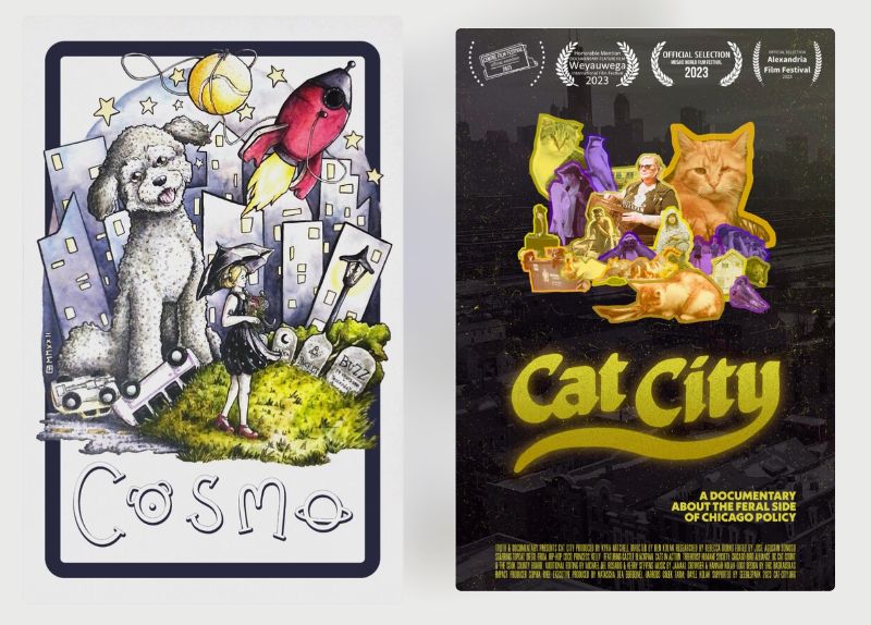 CAT CITY & COSMO