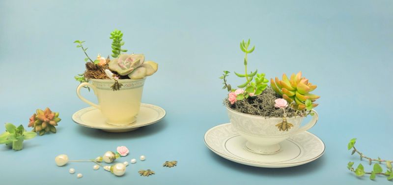 Make Your Own Teacup Planter