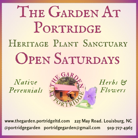 The Garden at Portridge