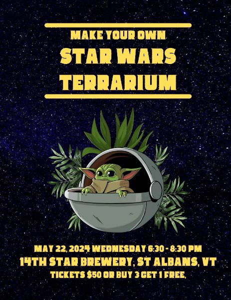 Make your own Star Wars Terrarium!
