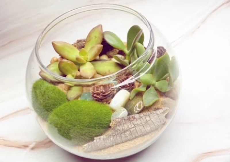 Make your own Terrarium at Casa D'Italia