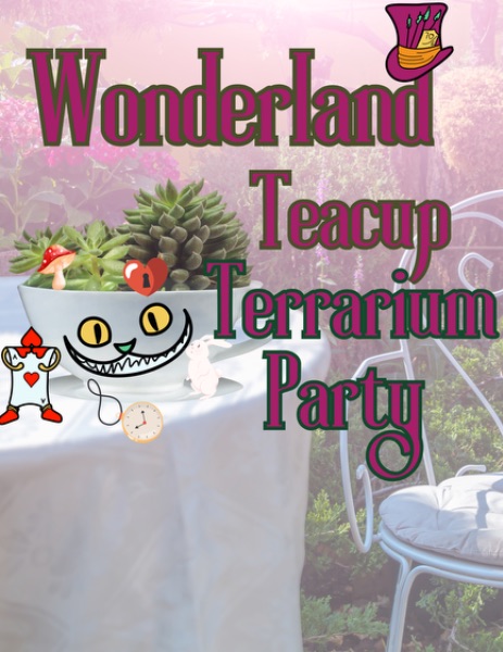 Wonderland Tea Cup Terrarium Party!
