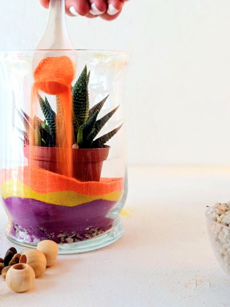 Make Your Own Sand Art Terrarium