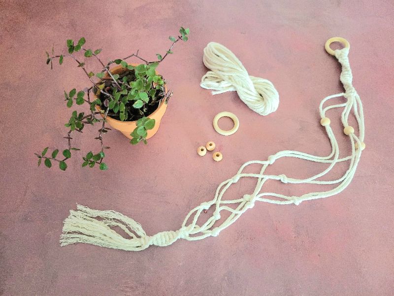 Mini Macrame Plant Hanger