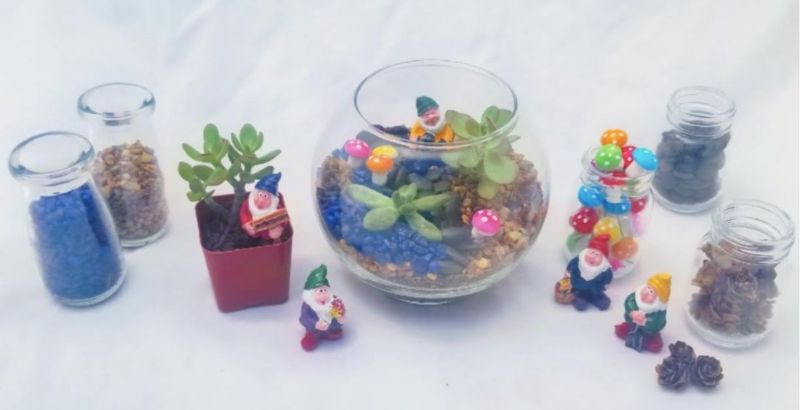 Make Your Own Forest Gnome Terrarium