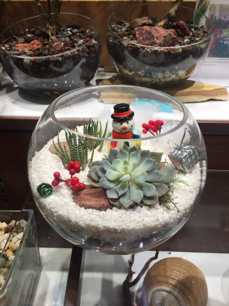 Winter Wonderland Terrarium Class