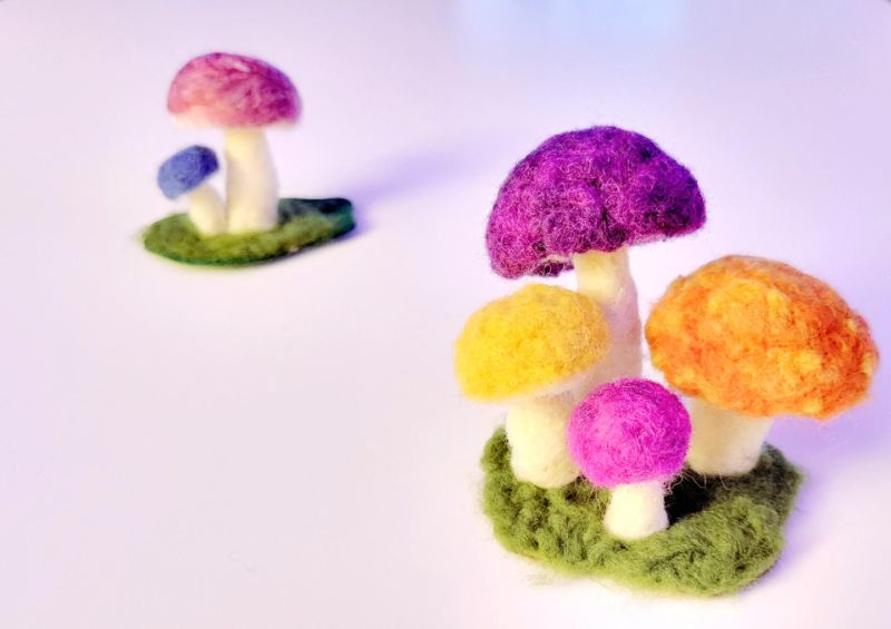 Needle Felt Mushroom Garden Class