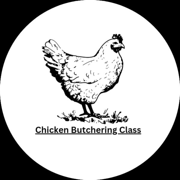 Chicken Butchering