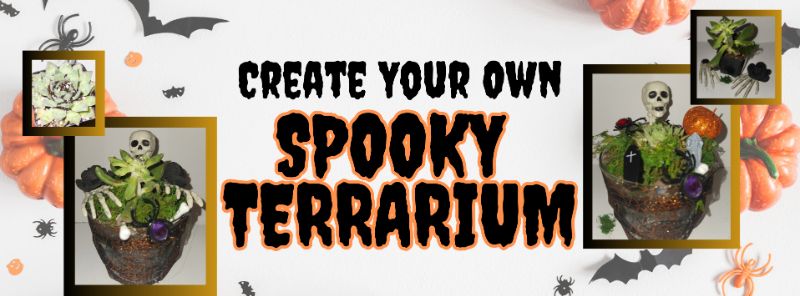 Create Your Own SPOOKY TERRARIUM!