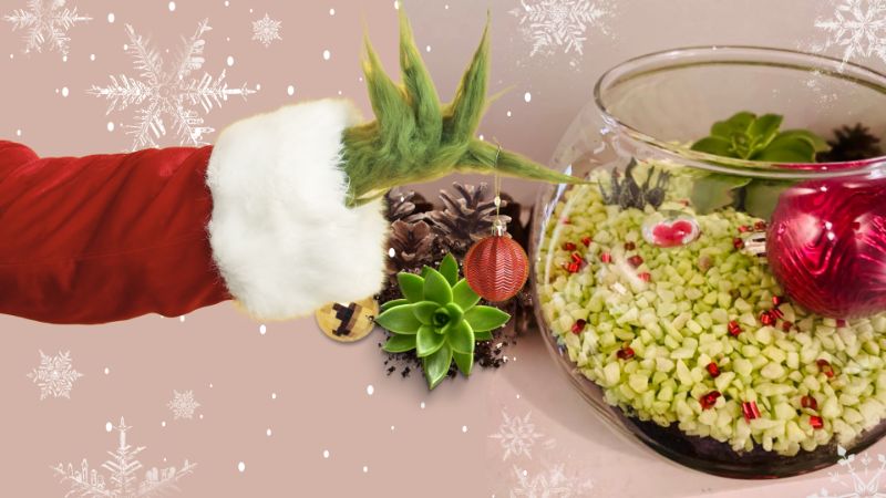 Make Your Own Holiday Terrarium at Crowntown Cannabis Concord