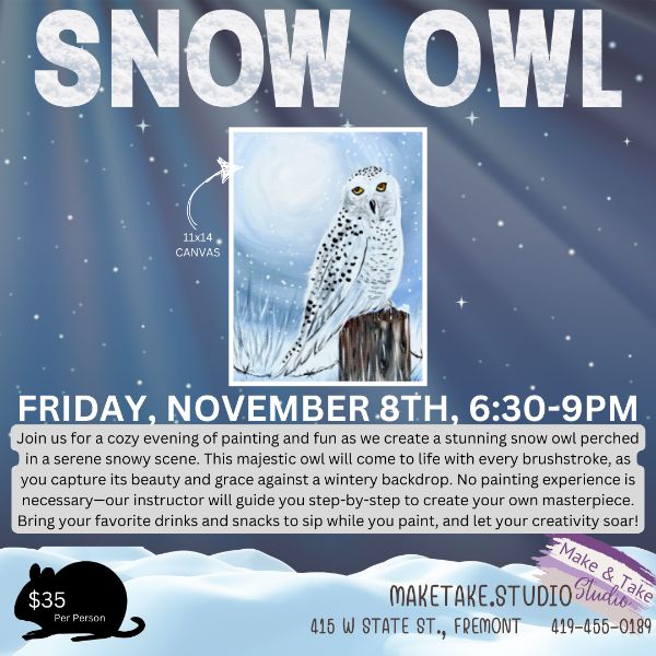 Snow Owl Paint Class