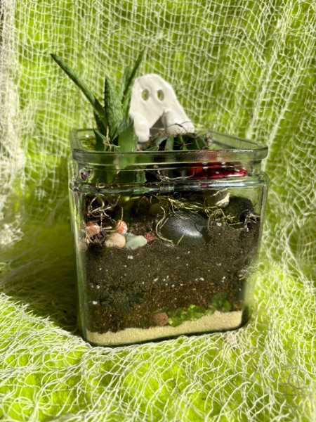 Terrarium Halloween Style