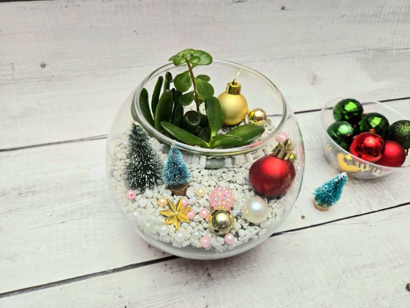 Make Your Own Terrarium