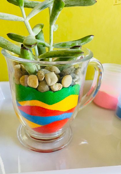 Sand Art Succulent Terrarium Craft Night & Pint