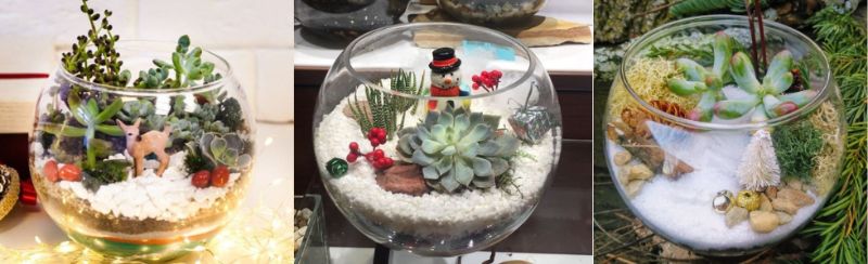 Make Your Own Holiday Terrarium