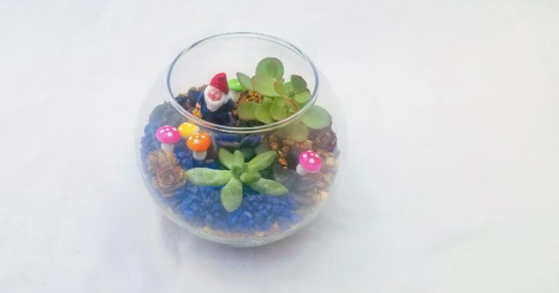 Make your own Terrarium