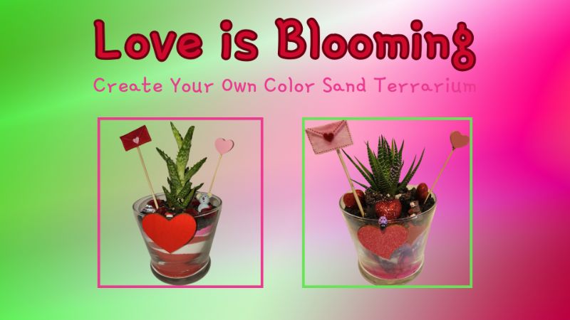 "Love is Blooming" Make Your Own Color Sand Terrarium