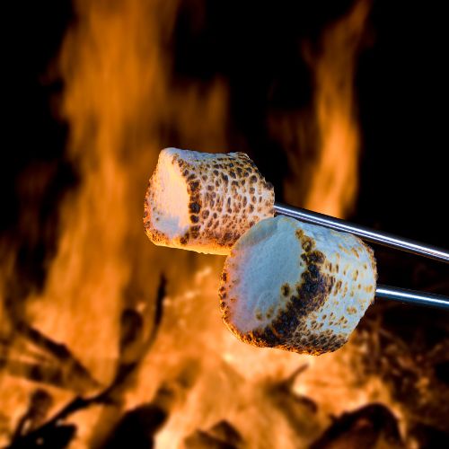 Session 7: Campfire Essentials (August 4 - 8)