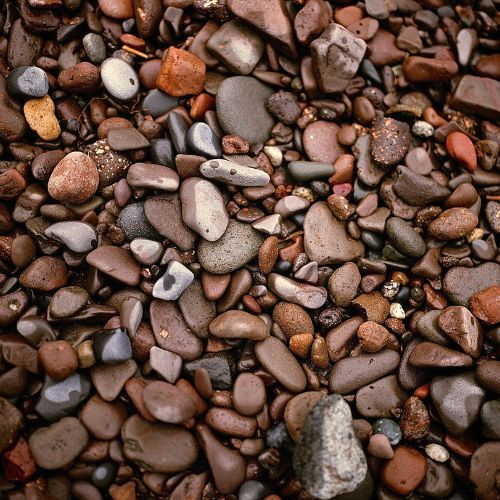 Session 10: This Farm Rocks (August 25 - 29)