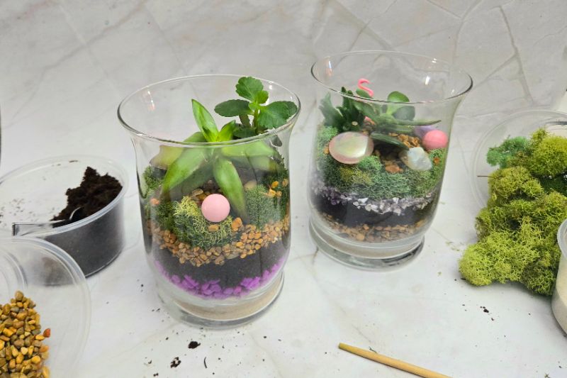 Make Your Own Layered Terrarium