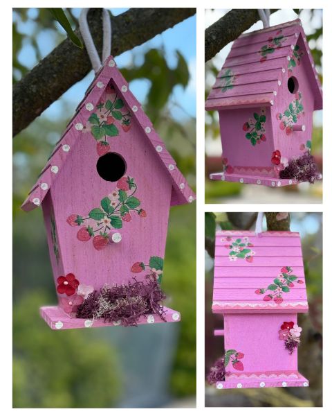 Paint, Decoupage & Sip- Spring Birdhouses