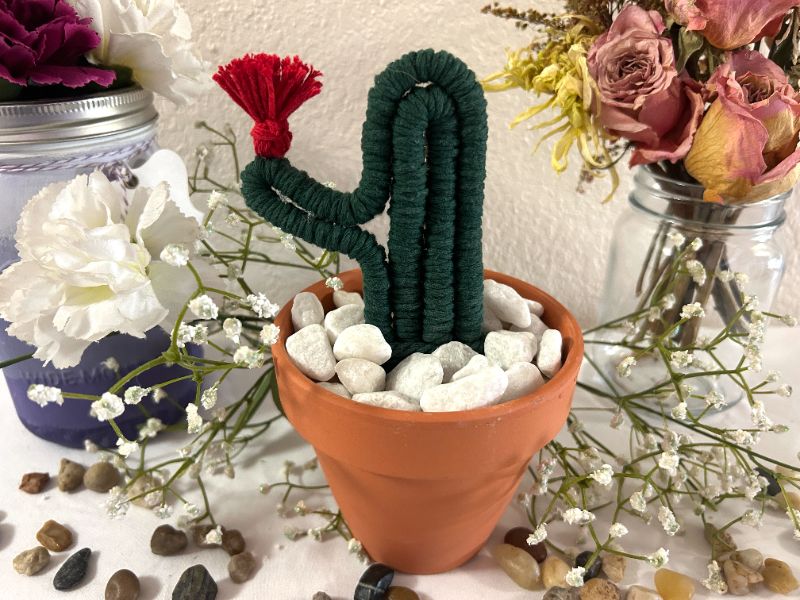 Make Your Own Macrame Cactus