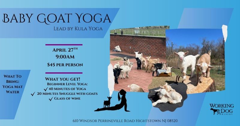 Baby Goat Yoga & Snuggles - 4/27