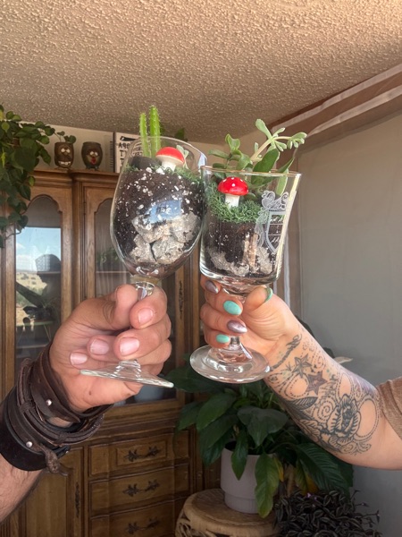 Tipsy Terrariums