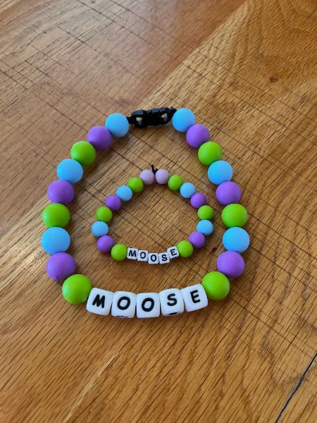 Pup Friendship Bracelet and Collar