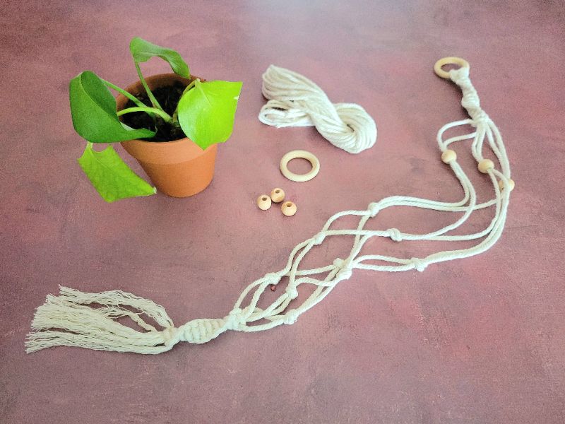 Macrame Plant Hanger Party
