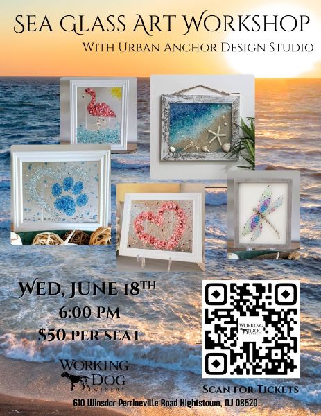 Sea Glass Framed Art Workshop