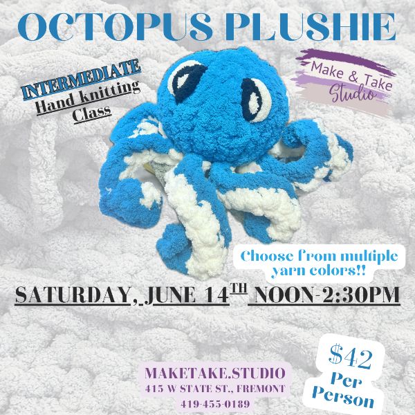 Octupus Plushie Intermediate Handknitting Class