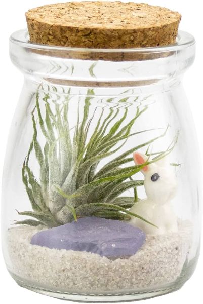 Kids' Crafts @ Cronos- Mini Jar Garden