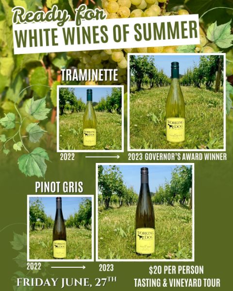 White Wines of Summer