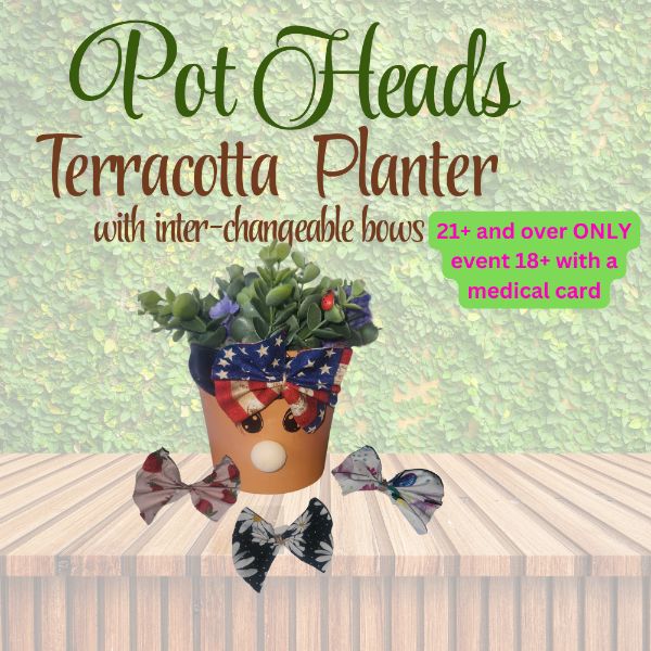 Pot Heads- Terracotta Planter