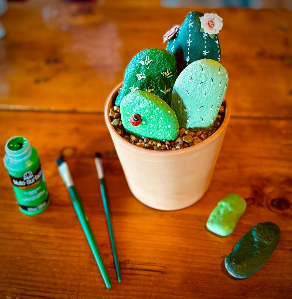 Make Your Own Rock Cactus Garden!