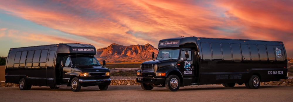 Desert Star Limos